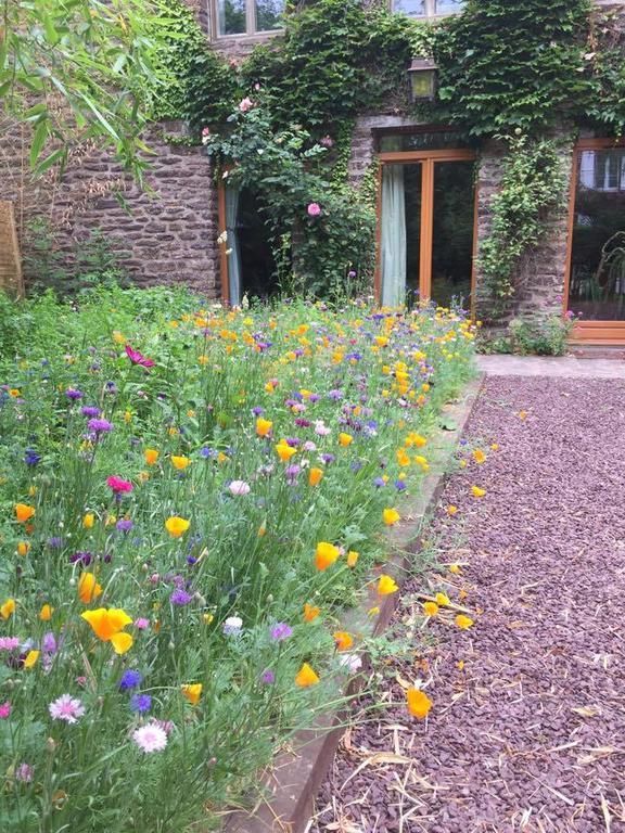 Gite Du Charme En Broceliande Mauron Экстерьер фото